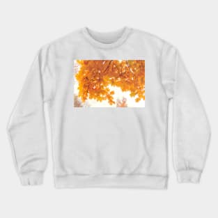 Golden maple leaves in autumn season Crewneck Sweatshirt